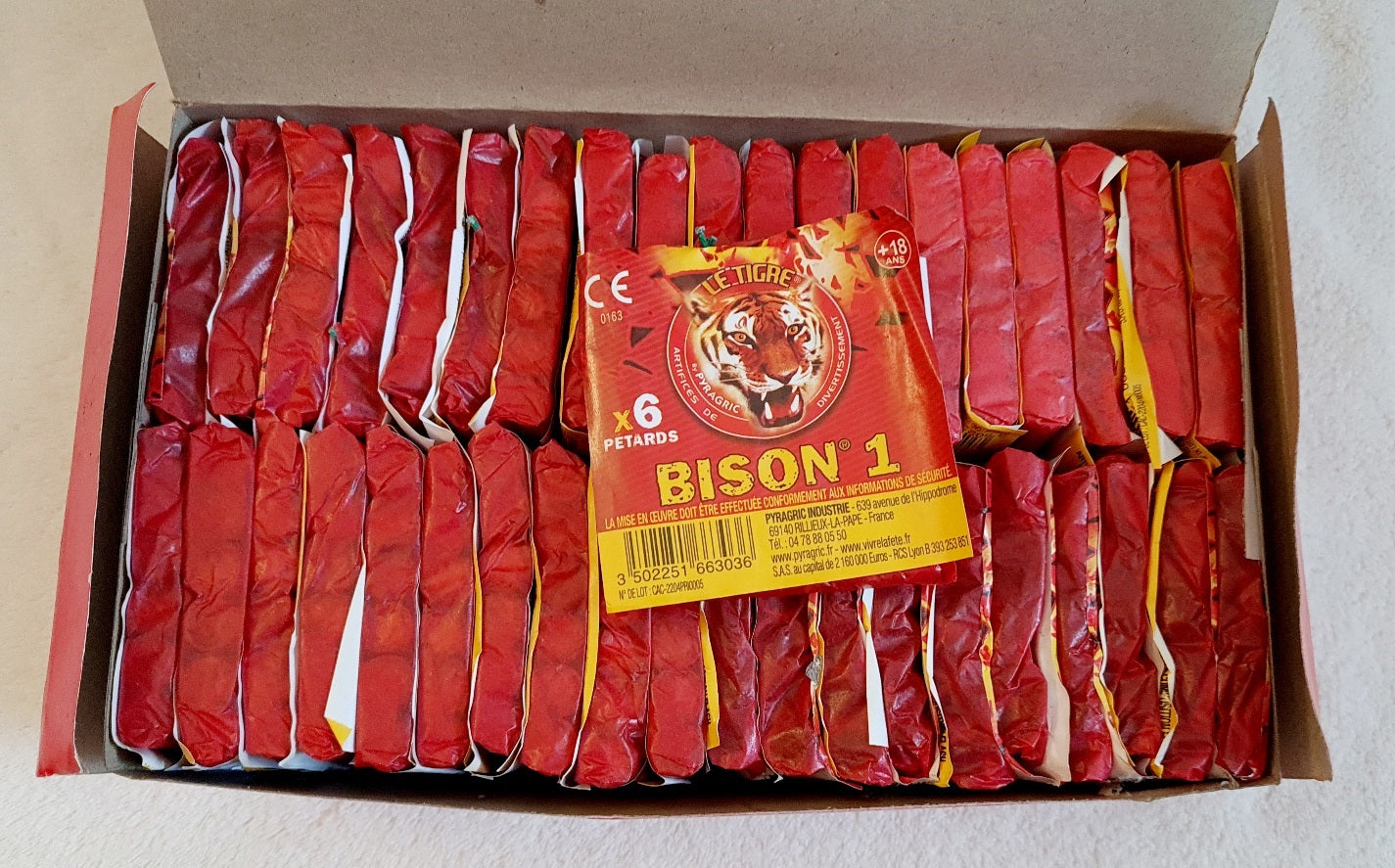 PETARD BISON 1 (PY166303)