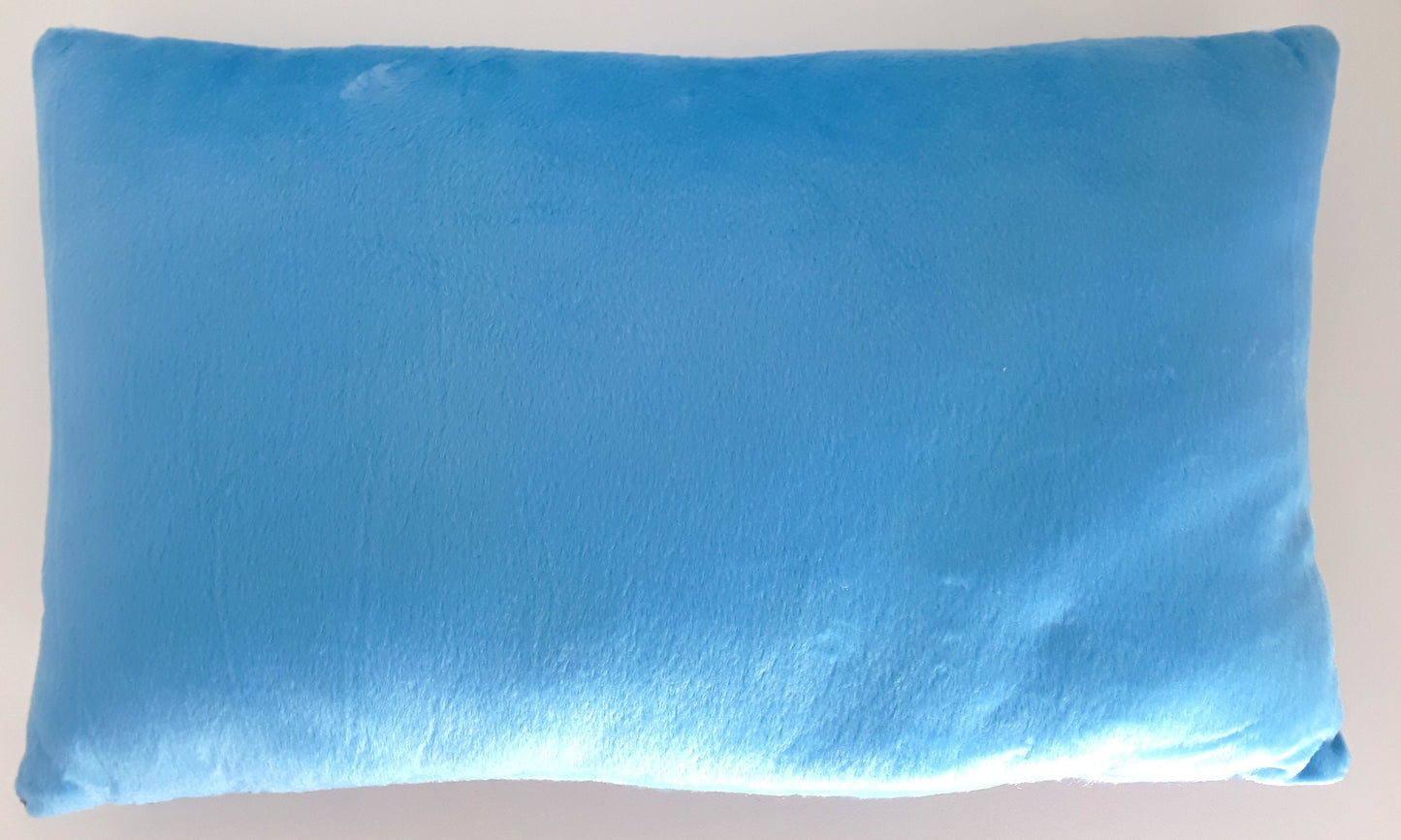 COUSSIN DORY (TF33086)