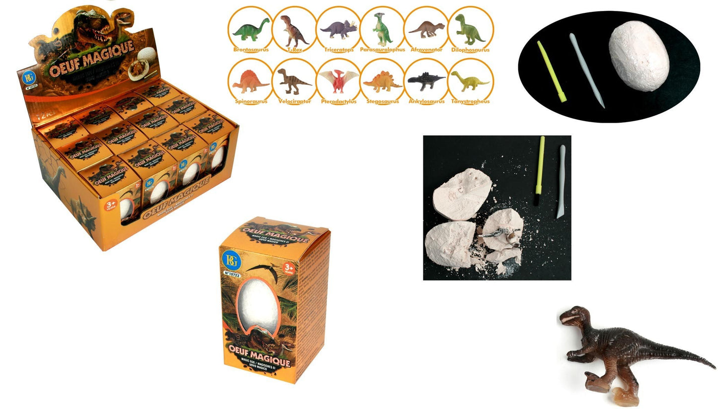 OEUF FOSSIL DINOSAURE X12PCS (BG10723)