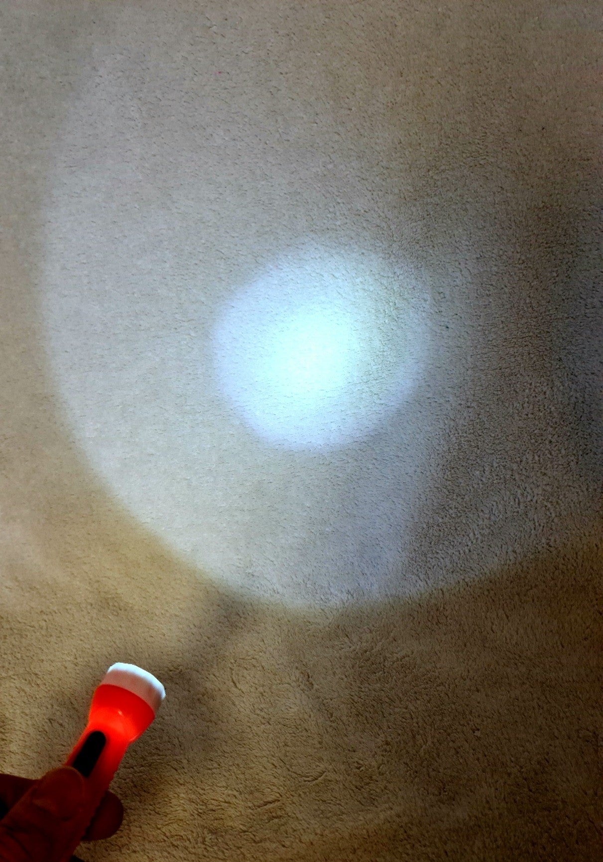 PORTE CLE LAMPE TORCHE X12PCS (MH80065)