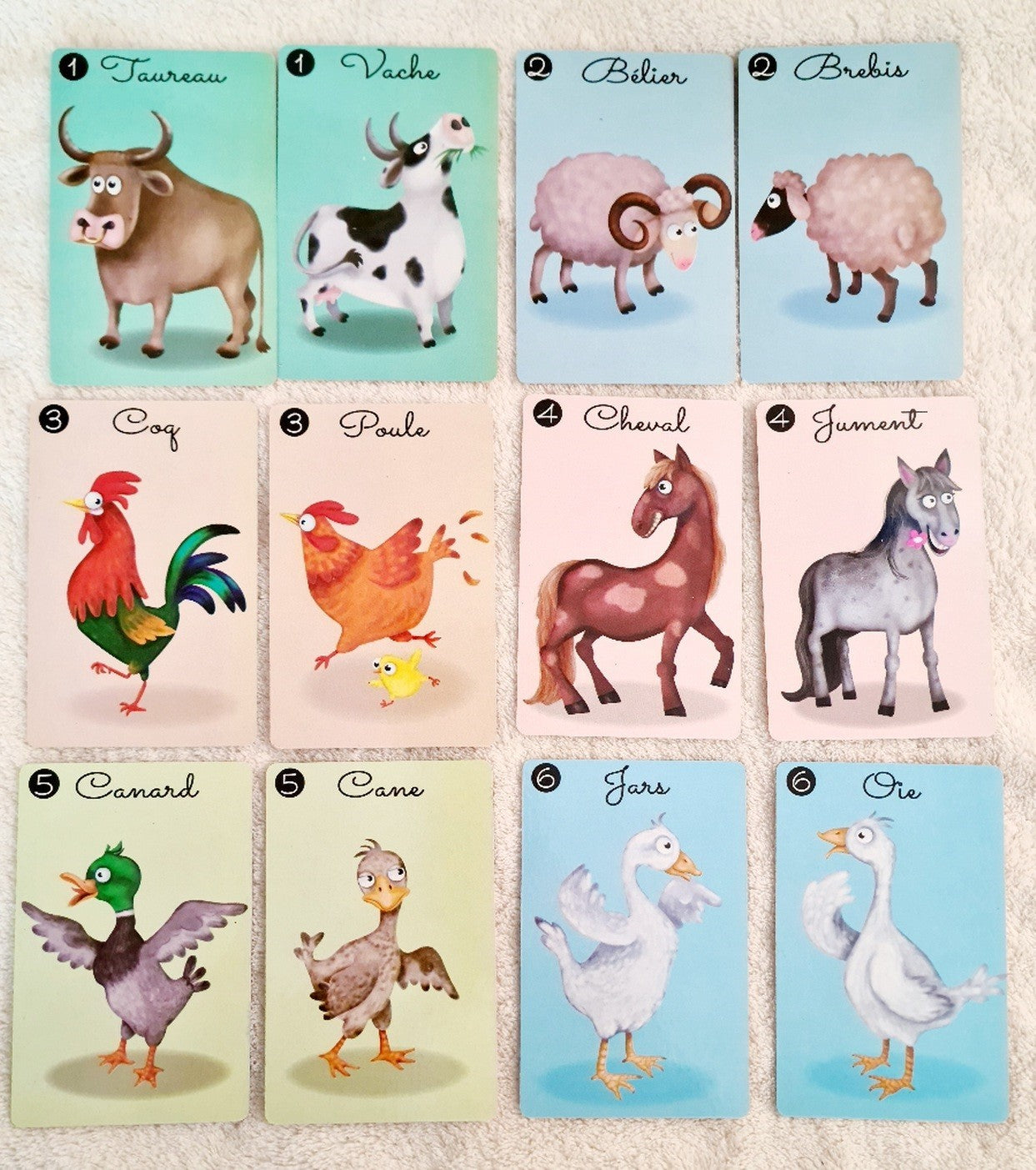 JEU DU MISTIGRI (CO320 2)