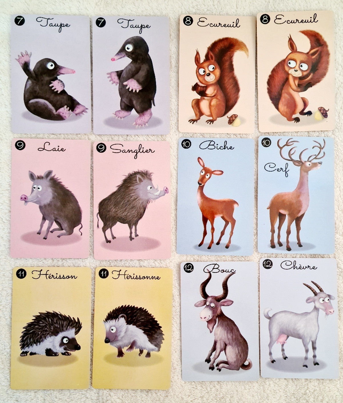 JEU DU MISTIGRI (CO320 2)