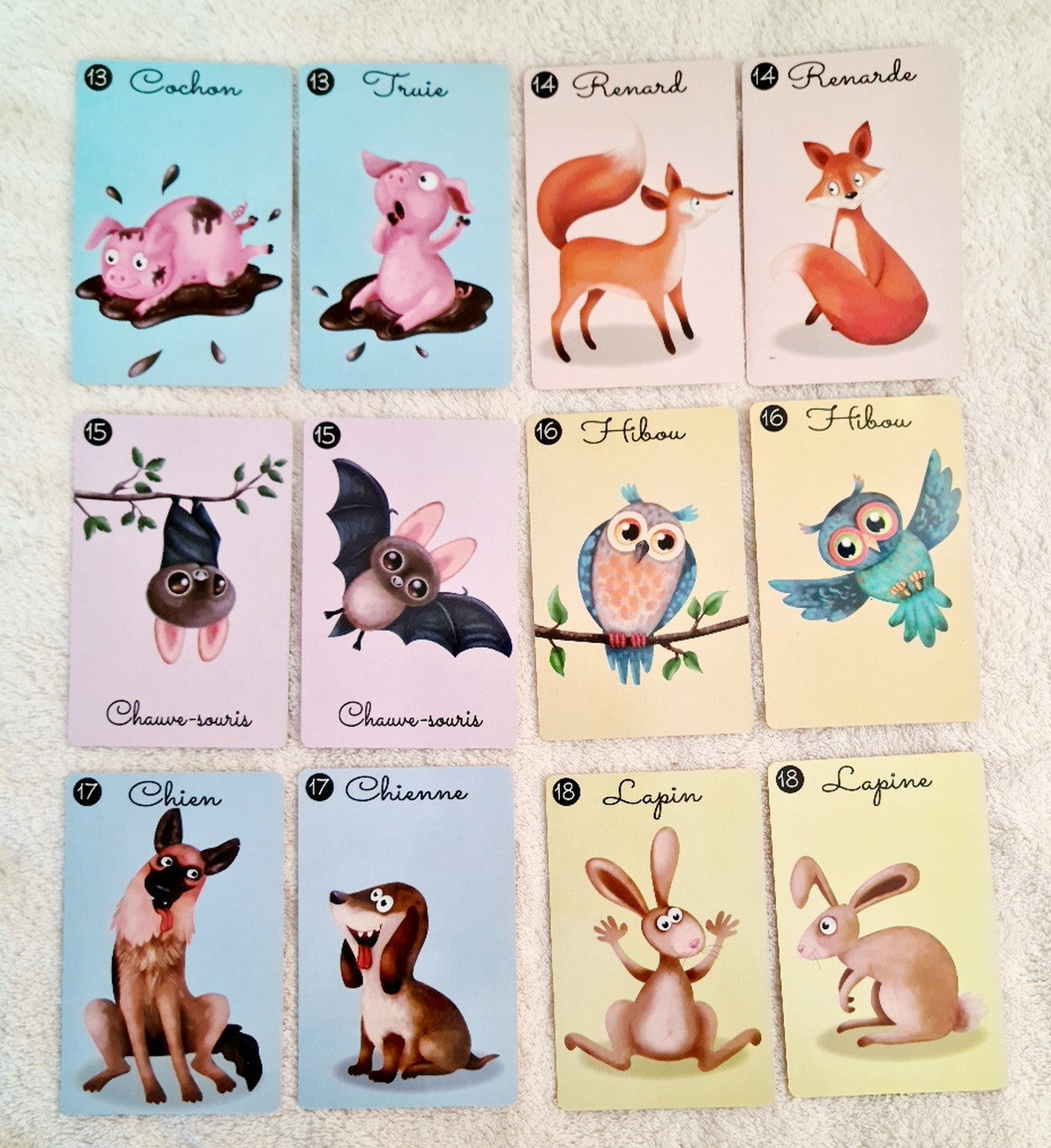 JEU DU MISTIGRI (CO320 2)
