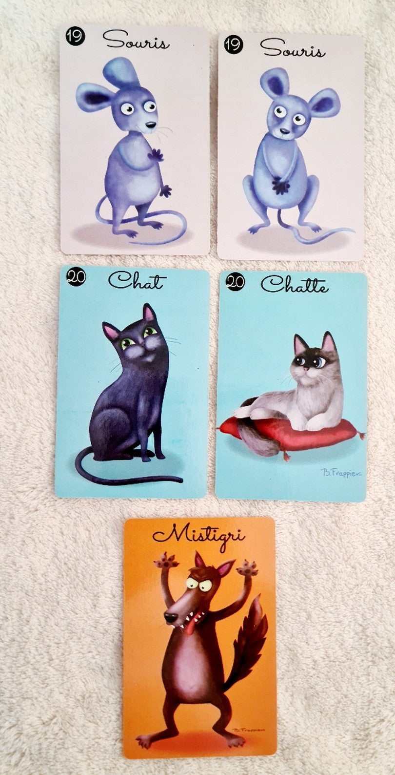 JEU DU MISTIGRI (CO320 2)