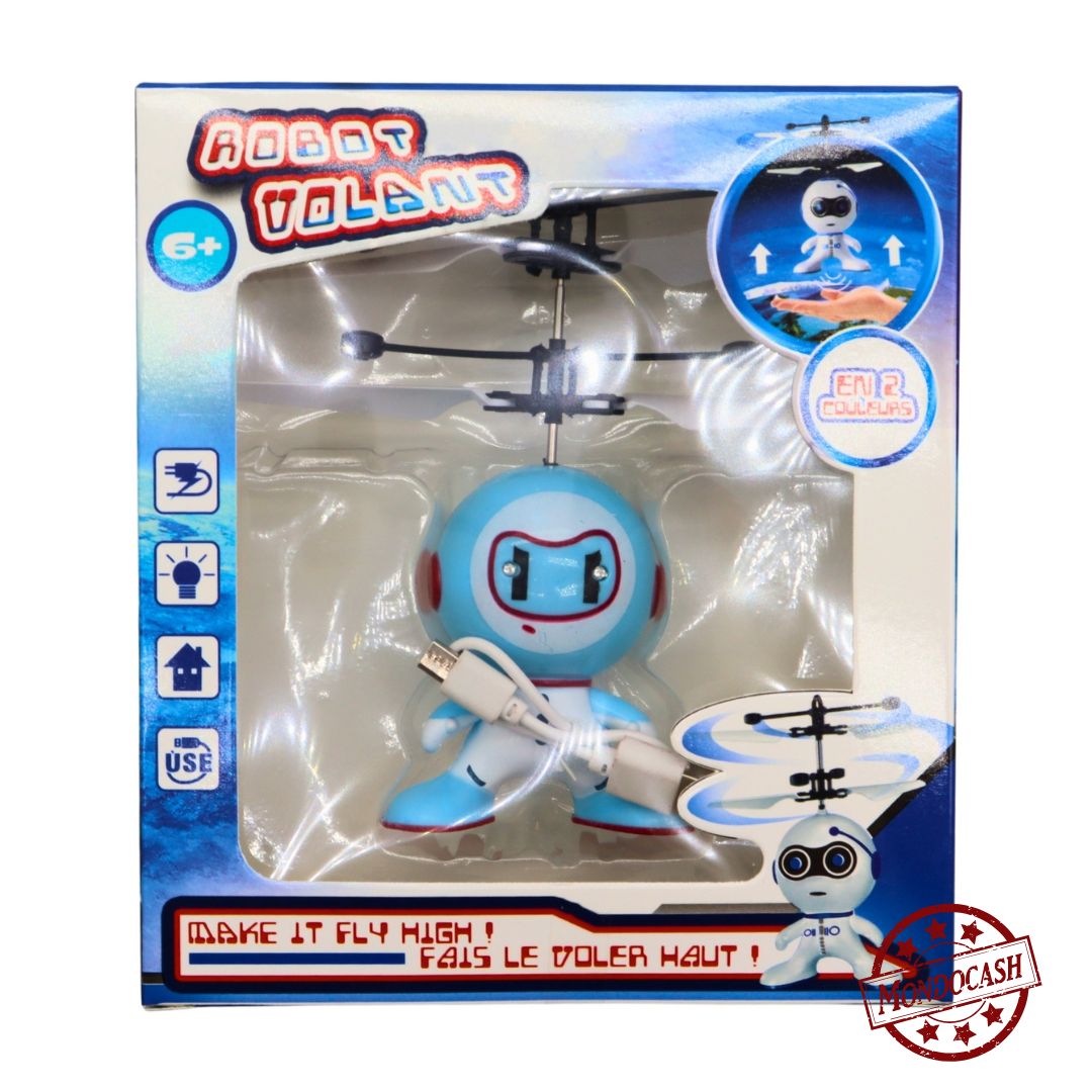 ROBOT RADIOCOMMANDE 13 CM (BG21088) 12/48