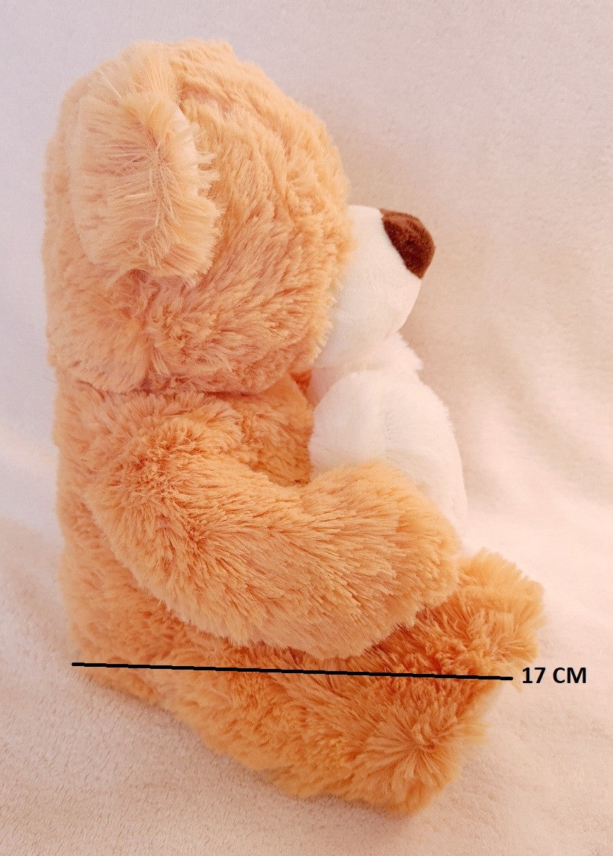 PELUCHE OURS MARRON COEUR 25CM (MJ30134) 48