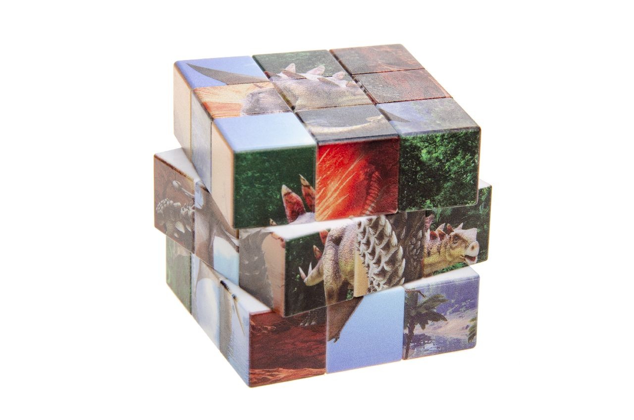 CUBE MAGIQUE DINOSAURE X6PCS (LG7106) 180